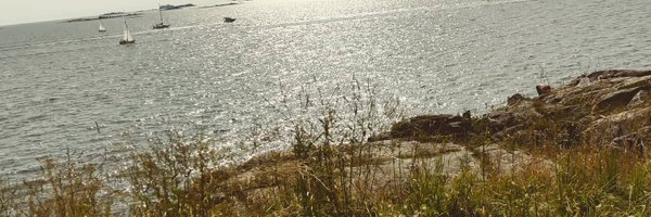 hadaytullah Profile Banner