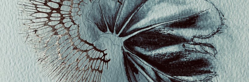 catherine donnelley banner