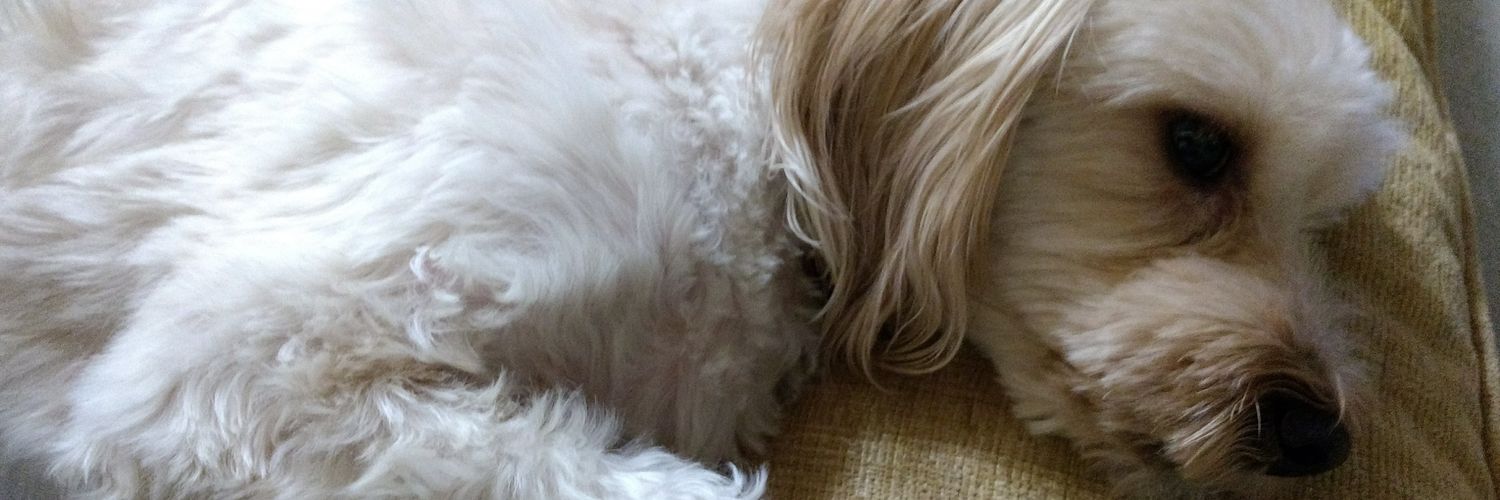 Dale Kennemer banner