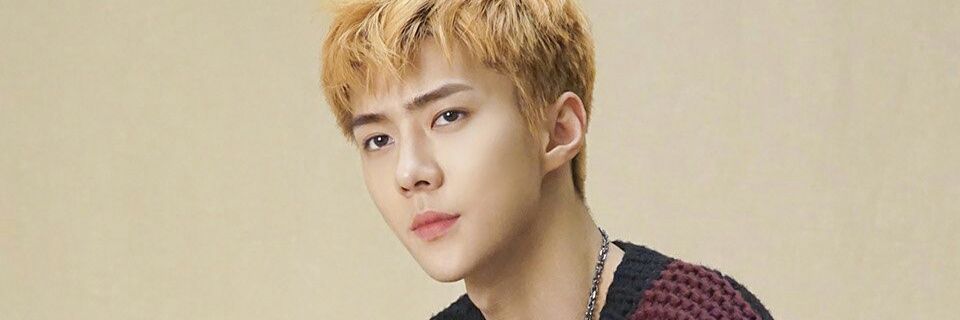 hani_pstrn's profile banner image