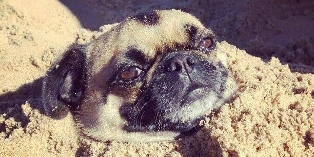 Get_Diesel_Baby's profile banner image