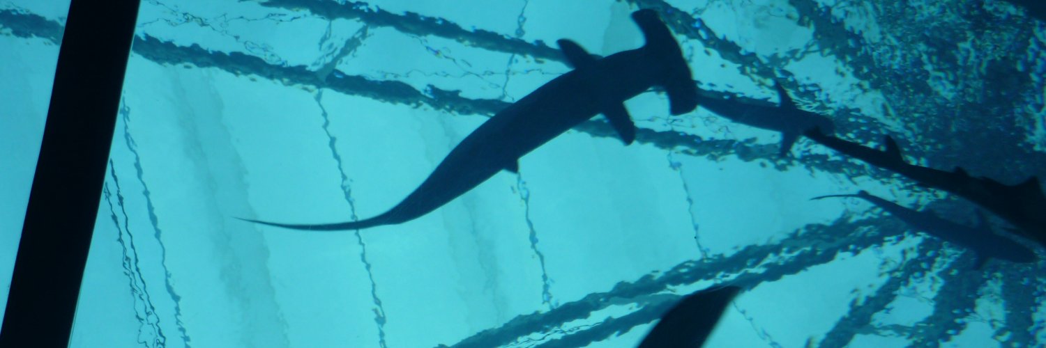 kuroyami04's profile banner image
