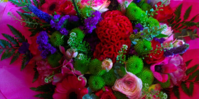 HelenaMWilliams's profile banner image
