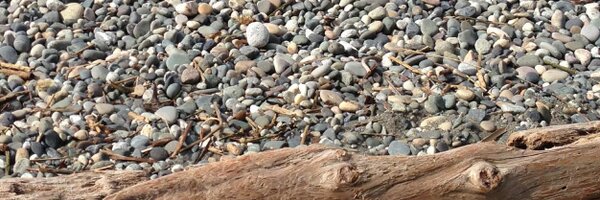 gobrgo Profile Banner