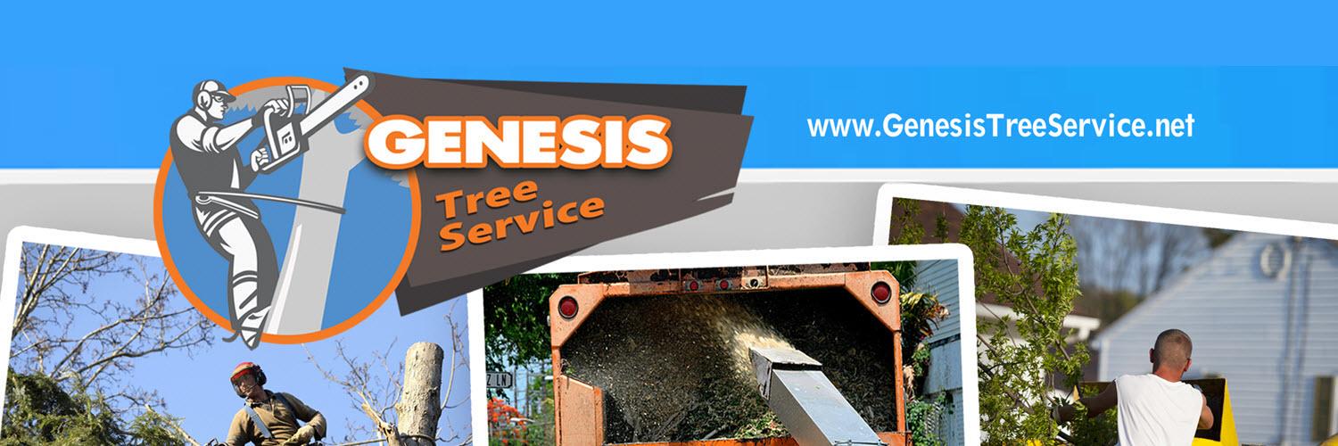 GenesisTreeSrvc's profile banner image