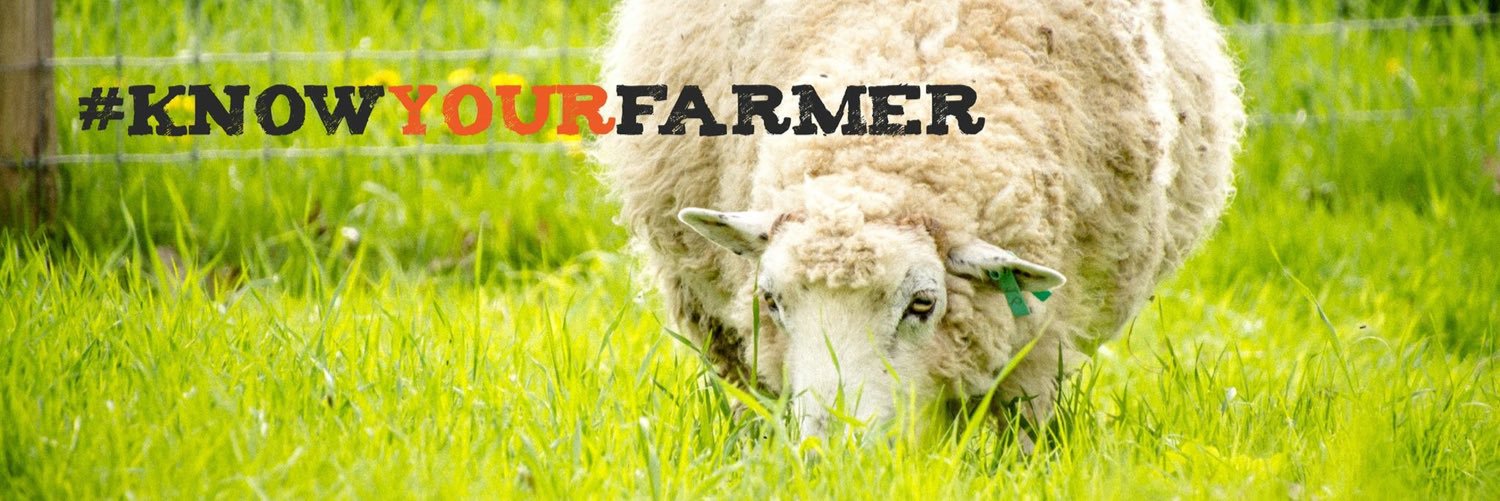 nslamb's profile banner image