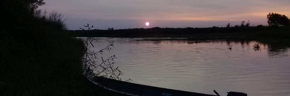 aleespi75's profile banner image