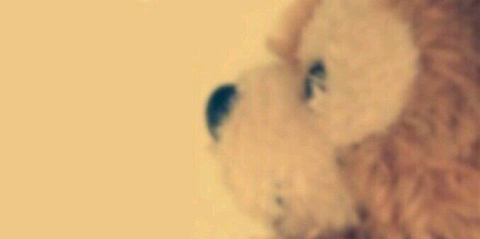 love___yy's profile banner image