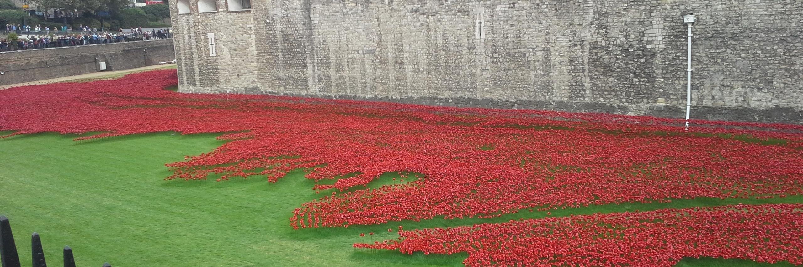 CritMil Studies banner