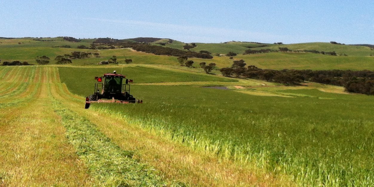 Brizza11Jason's profile banner image