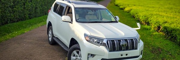 msmatei_ Profile Banner