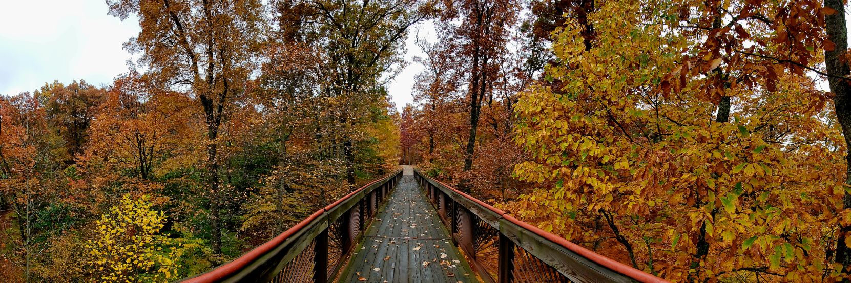 Cassandra Wheeler banner