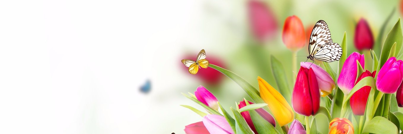 gdsheroo's profile banner image