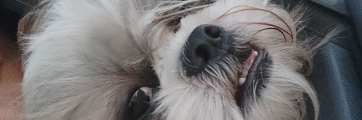 camiranda13's profile banner image