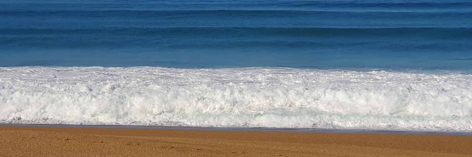 Marie 🐈‍⬛ banner