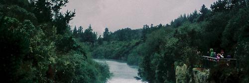 __0lvidarnos's profile banner image