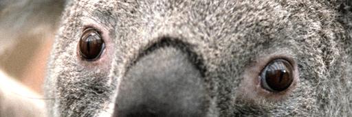 TommyGGi's profile banner image