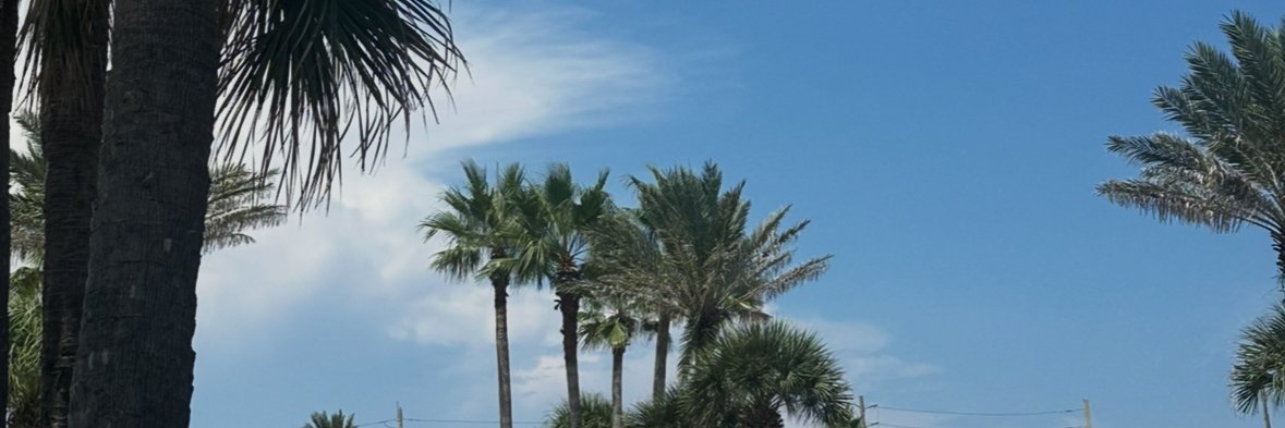 https://pbs.twimg.com/profile_banners/23869655/1755518585