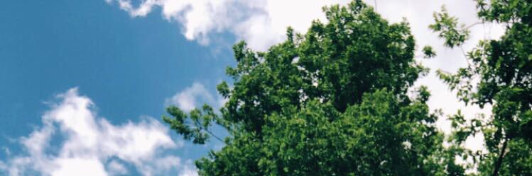 tasiahhhh's profile banner image