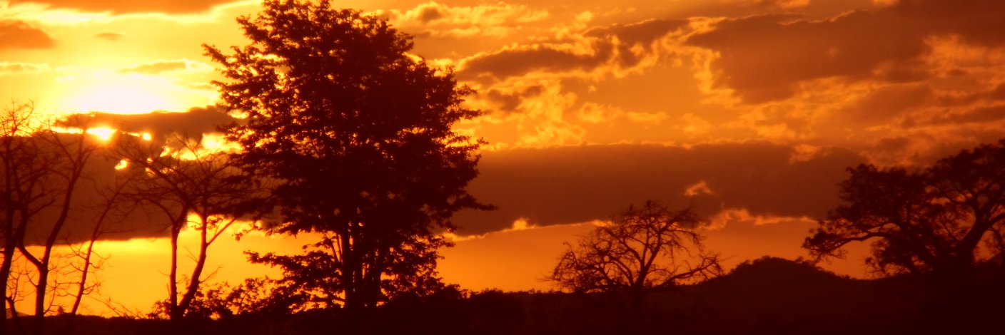 davidescribano's profile banner image