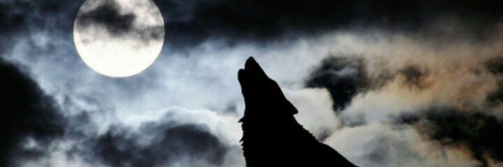 danielarks's profile banner image