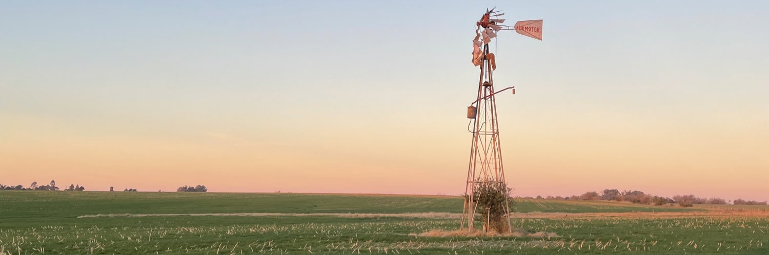 Luisina Delgado banner