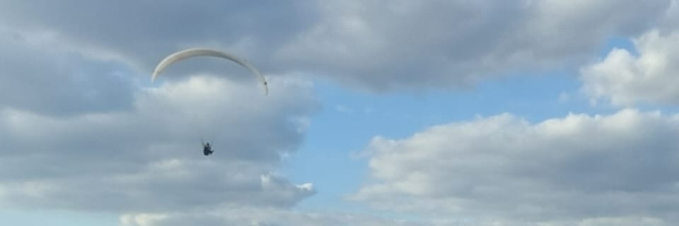 ramonmegale's profile banner image