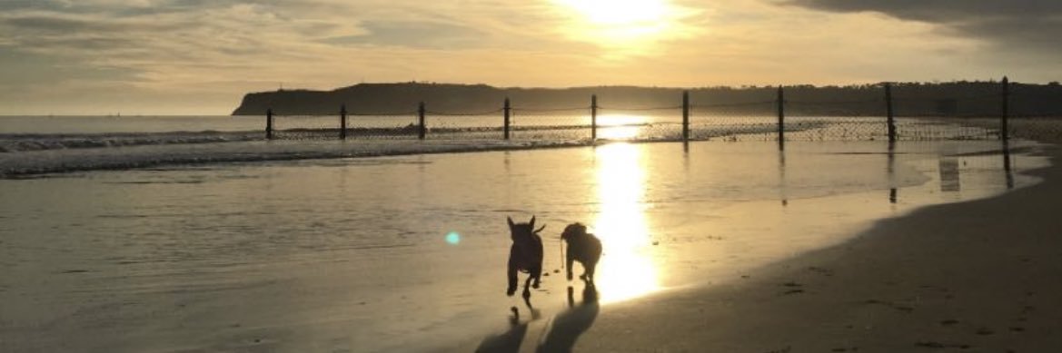 radassjay's profile banner image