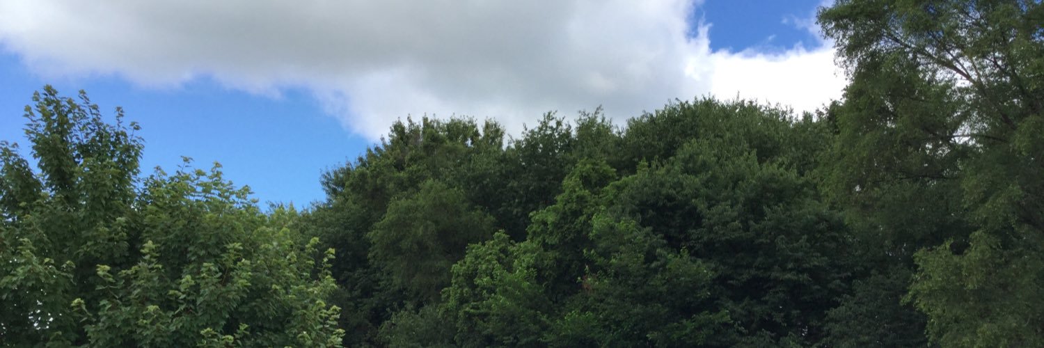 compdunz's profile banner image
