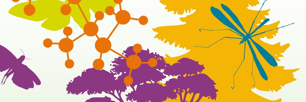 FR AIB communication banner