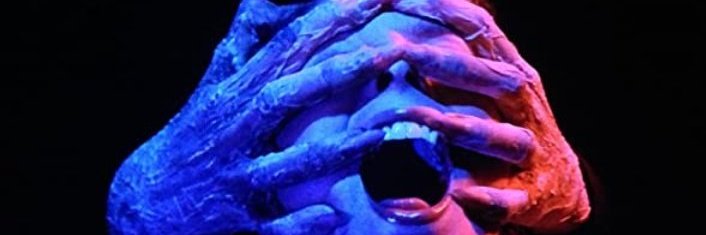 V banner
