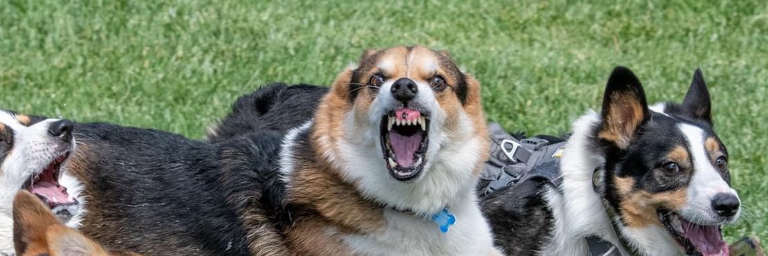 toneyeah's profile banner image
