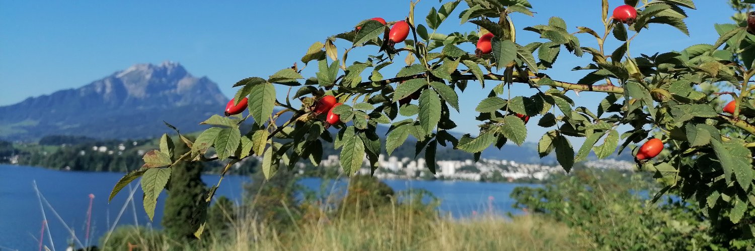 ublu_ch's profile banner image