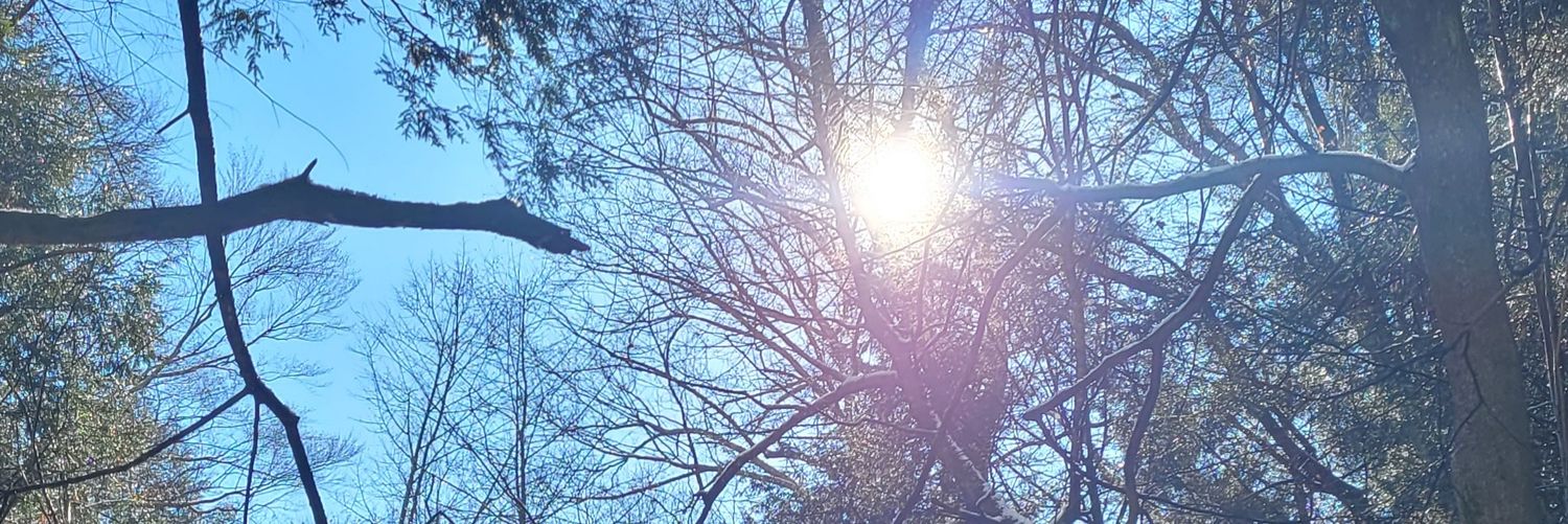 WineLife4Ever's profile banner image