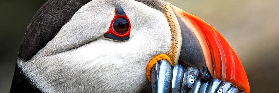 wellitmustBnice's profile banner image