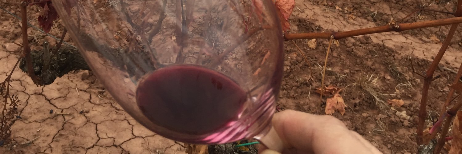 victor nedelea banner