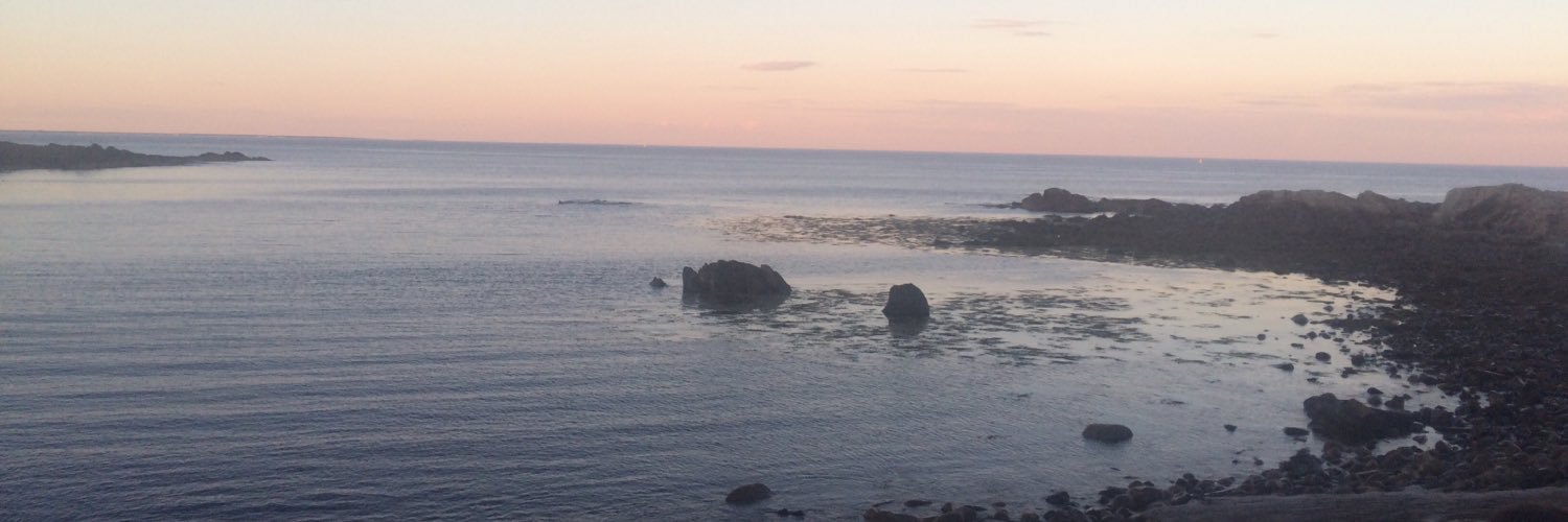 TaylorHewittt's profile banner image