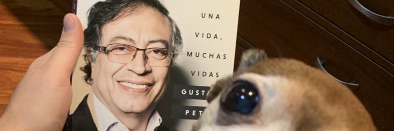 checholoved's profile banner image