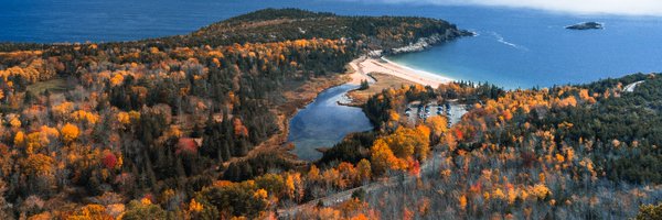 Jifan_chen Profile Banner