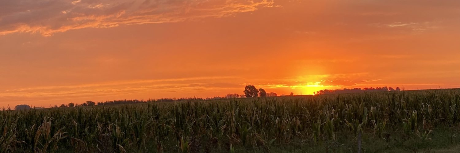bonserioflor's profile banner image