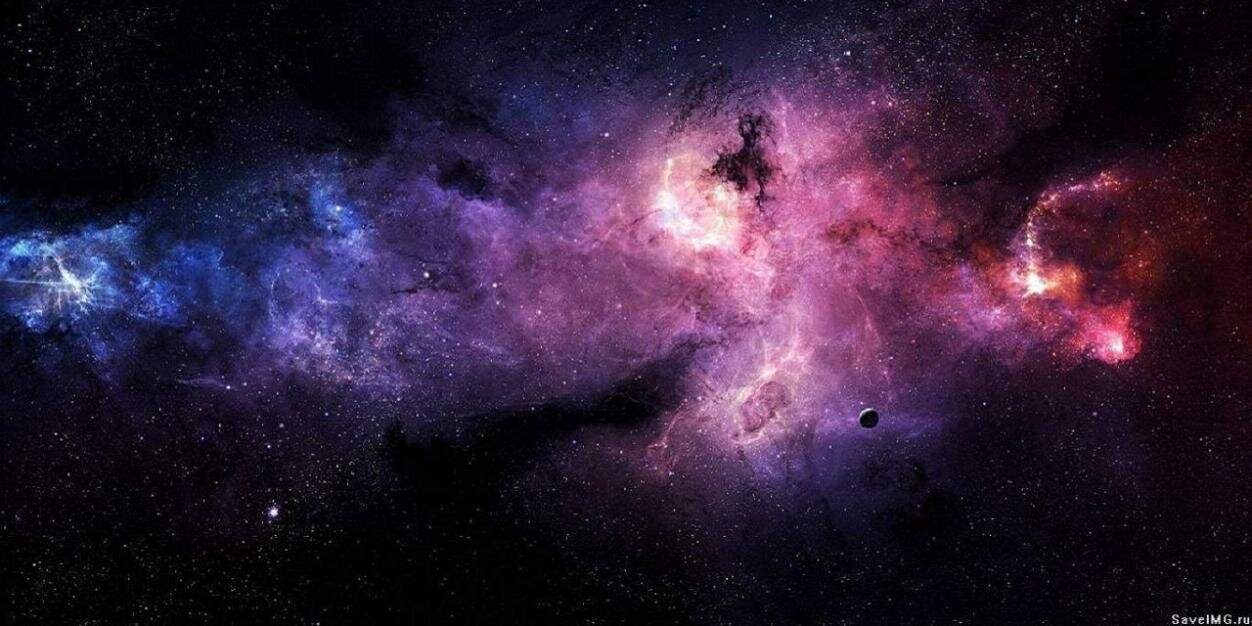 тигр тестировщик banner