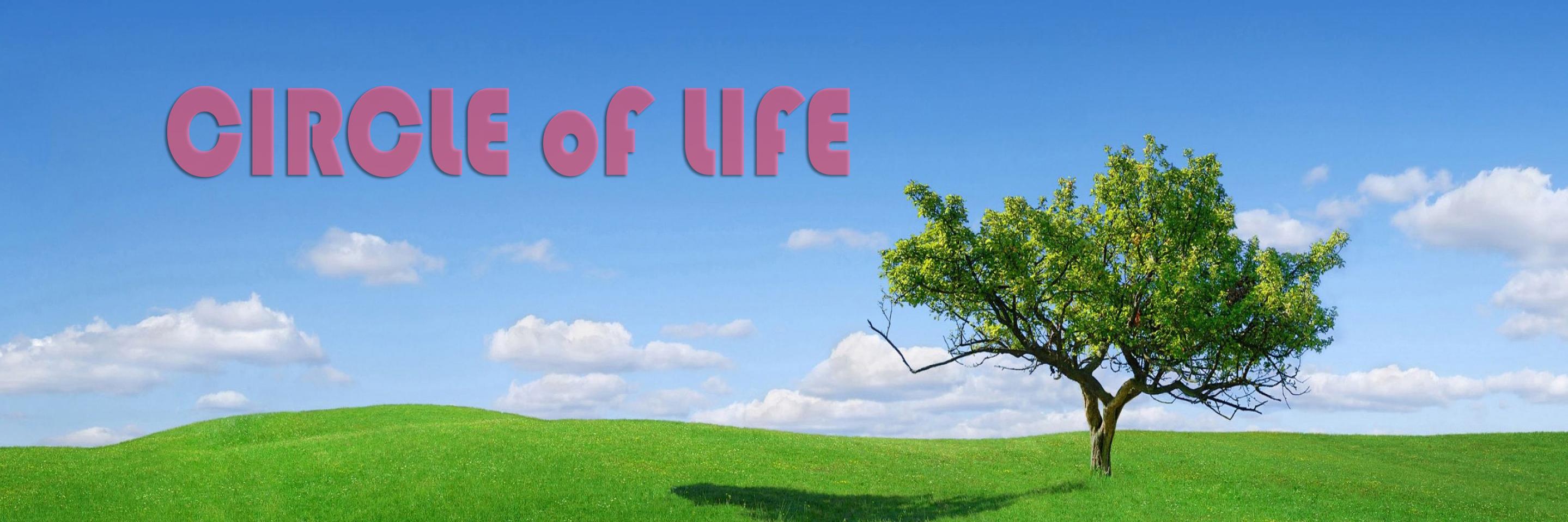 choulyin's profile banner image