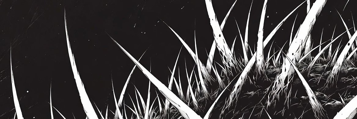 Rotspine's profile banner image