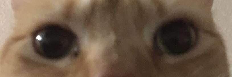 brzezik919's profile banner image