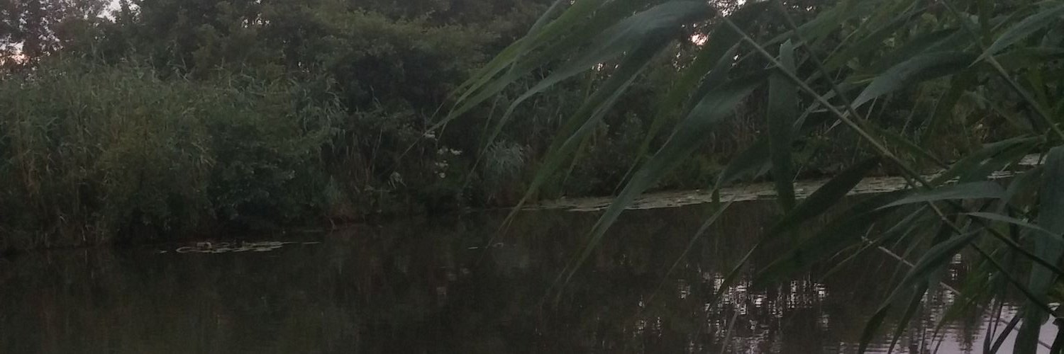 Rhakio's profile banner image