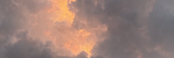 EmmaKoory Profile Banner