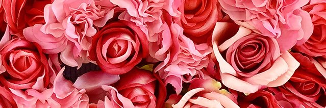 Chrys🌻 banner