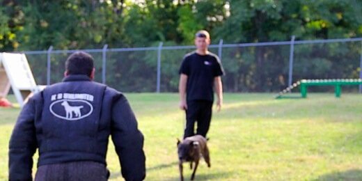 K9DecoyForHire's profile banner image