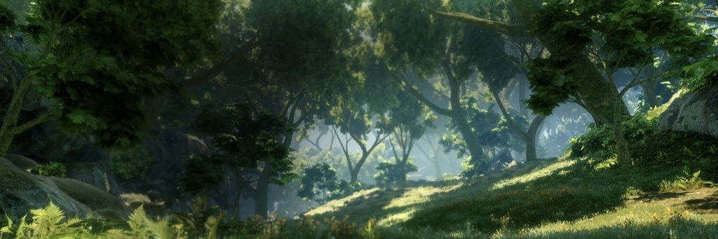 jaśkier 🐉🐉 elf from Dragon Age banner