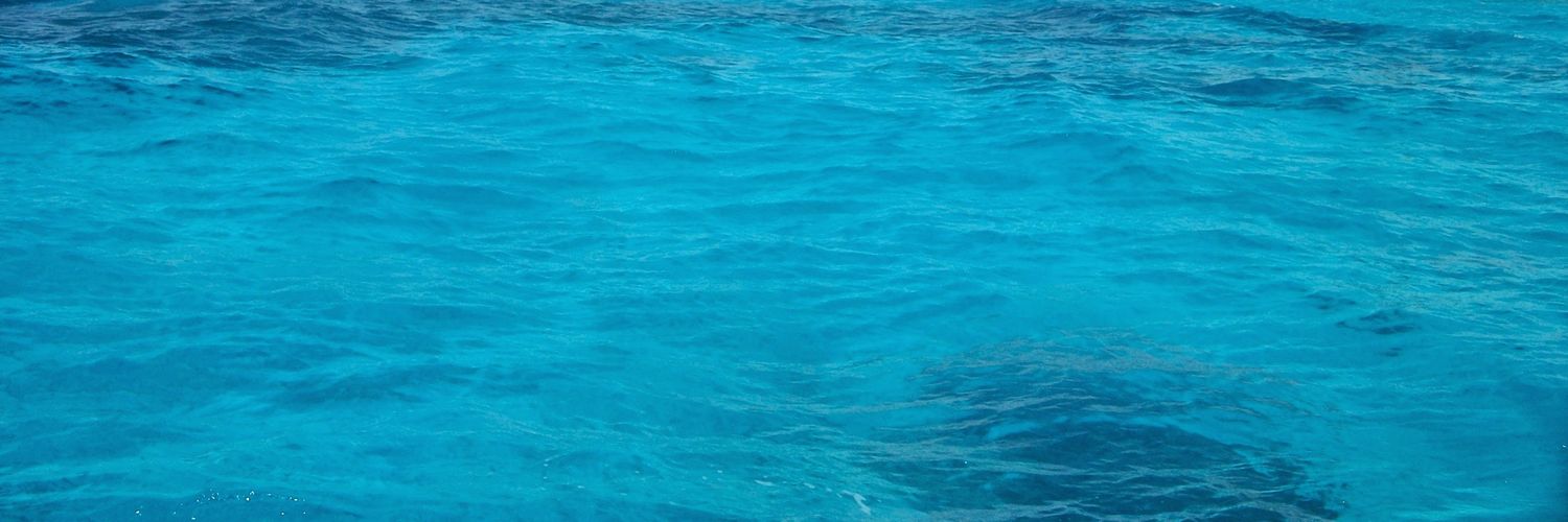 EverythingGreta's profile banner image